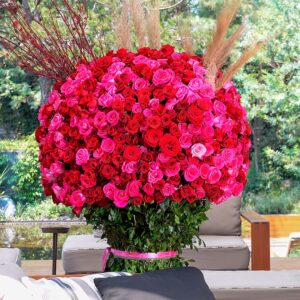 1000 Rosas