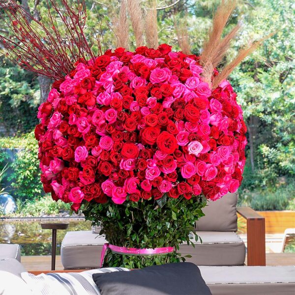 1000 Rosas