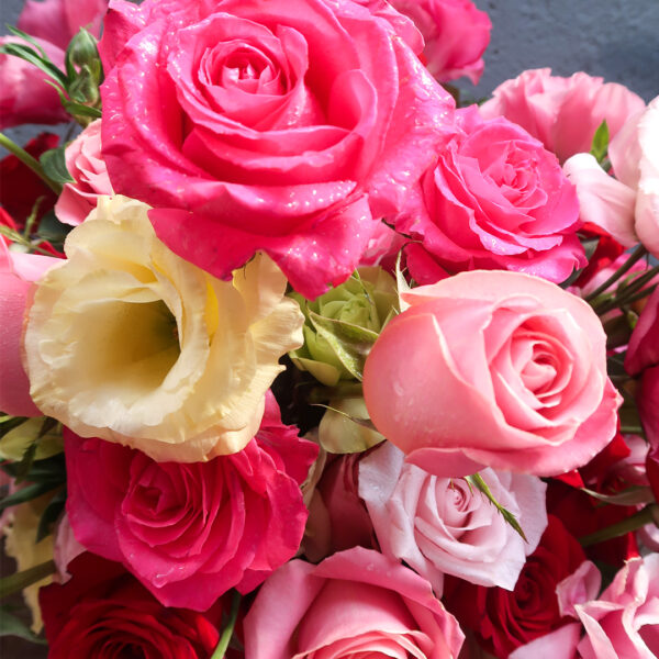 AMOR - Imagen 4